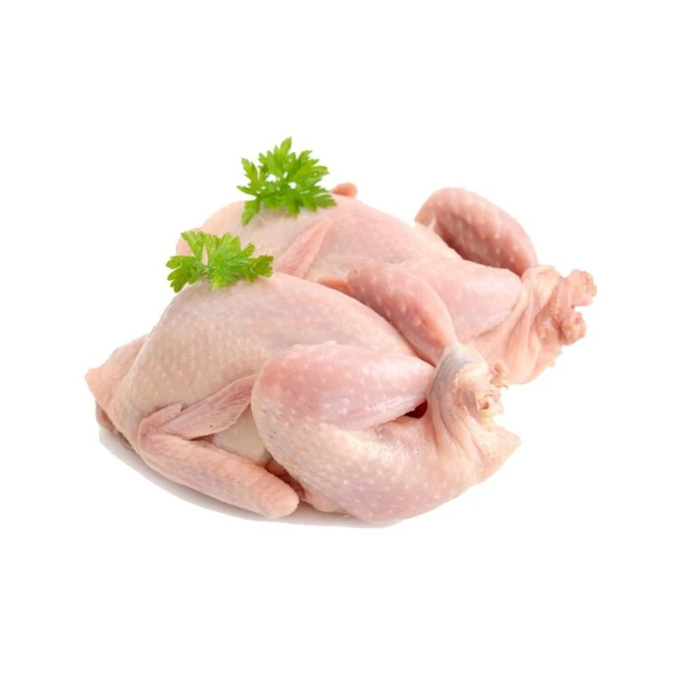 Chicken & Meat